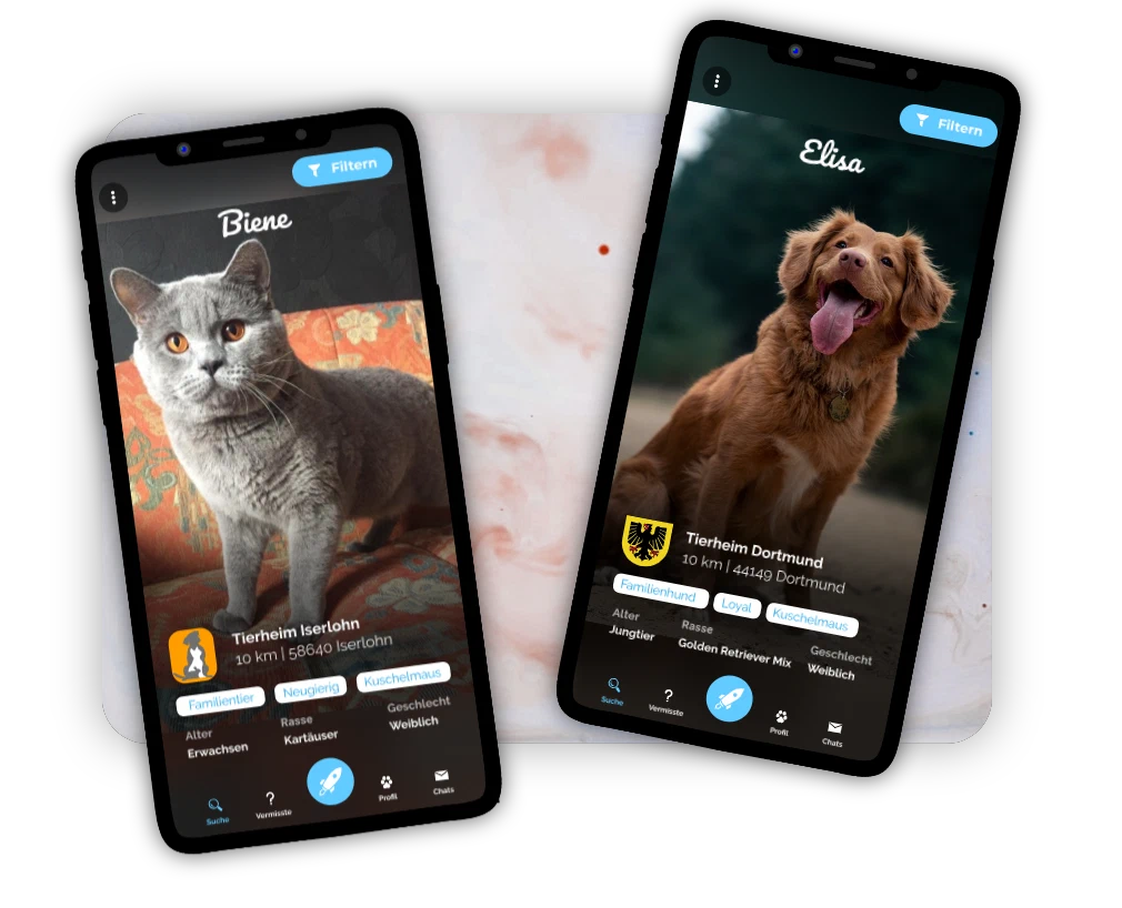 Pet Fellows App auf zwei Smartphones